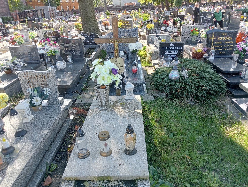 Grób Zygmunt  Drewniok